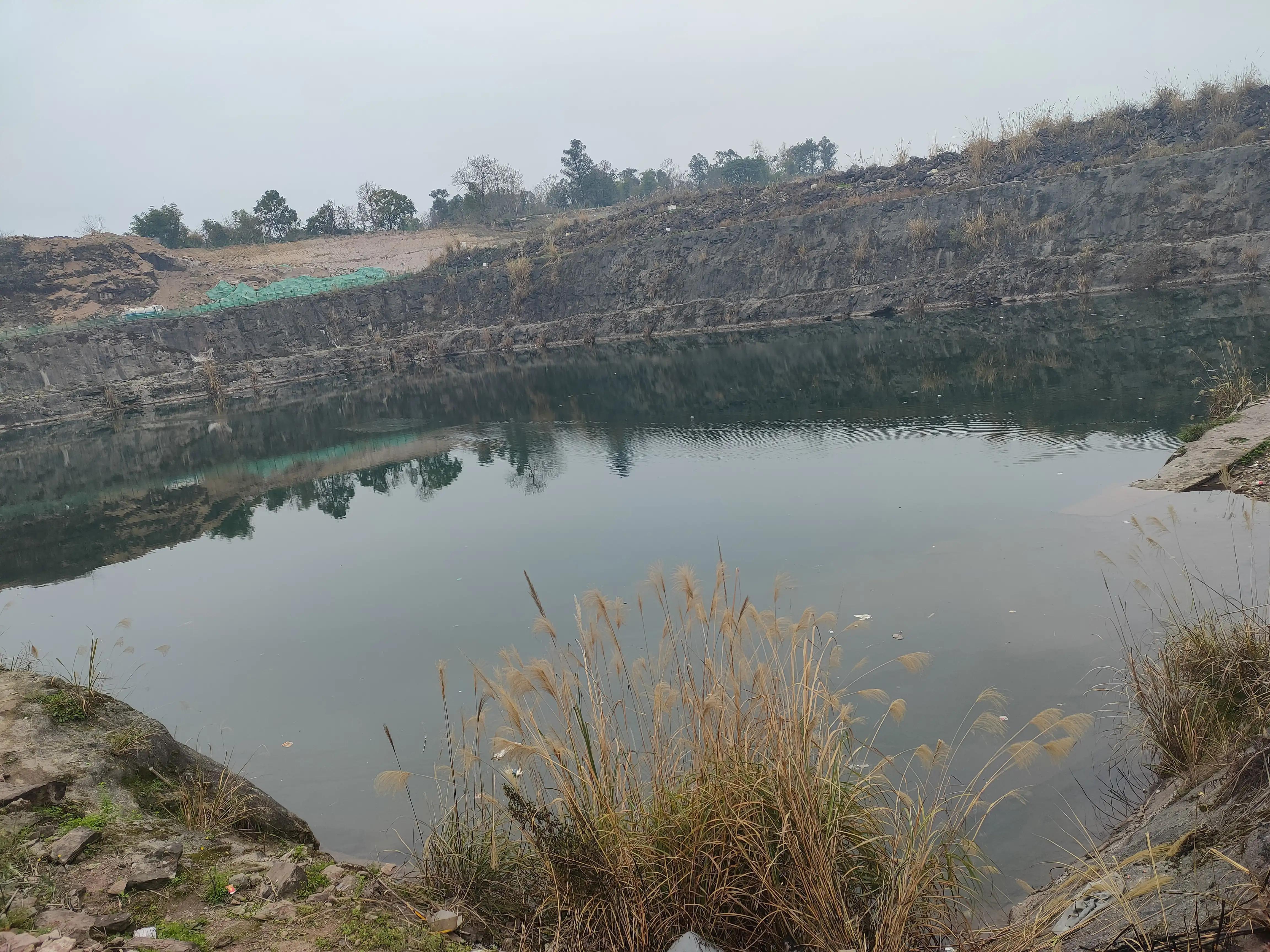 上海佳程廣場最新動態(tài)，一場溫馨的購物盛宴