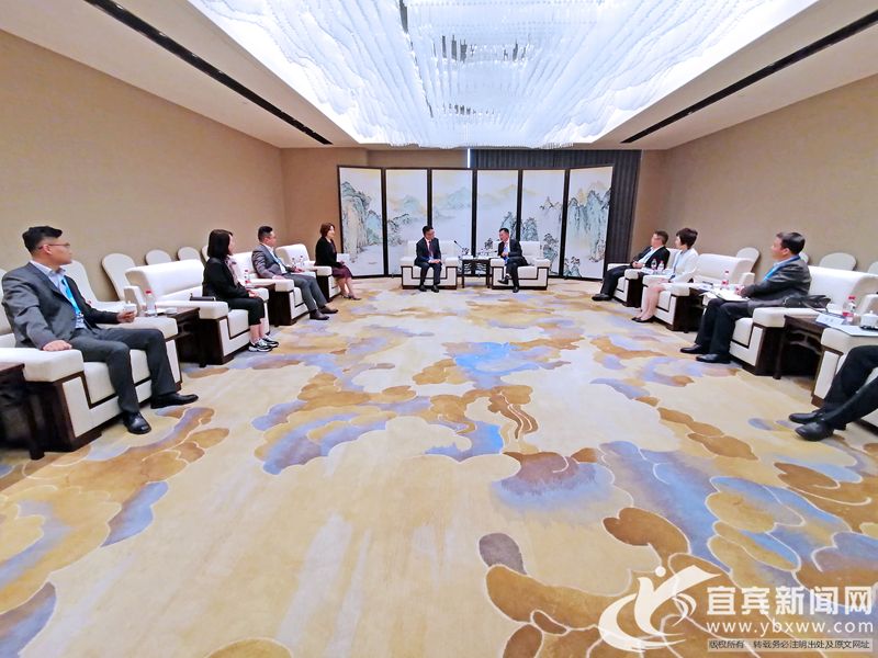 宜賓市李學焦最新職務揭秘，小巷中的獨特風味探索者