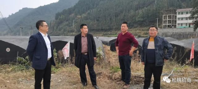 松桃冉啟江最新動(dòng)態(tài)，自然美景探索之旅，追尋內(nèi)心平和與喜悅的旅程