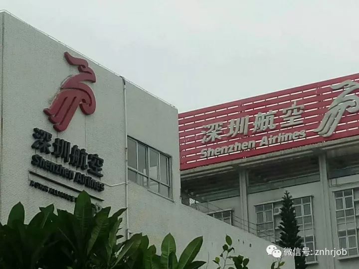 深航招聘網最新招聘信息，學習變化，擁抱未來，開啟無限可能職業旅程