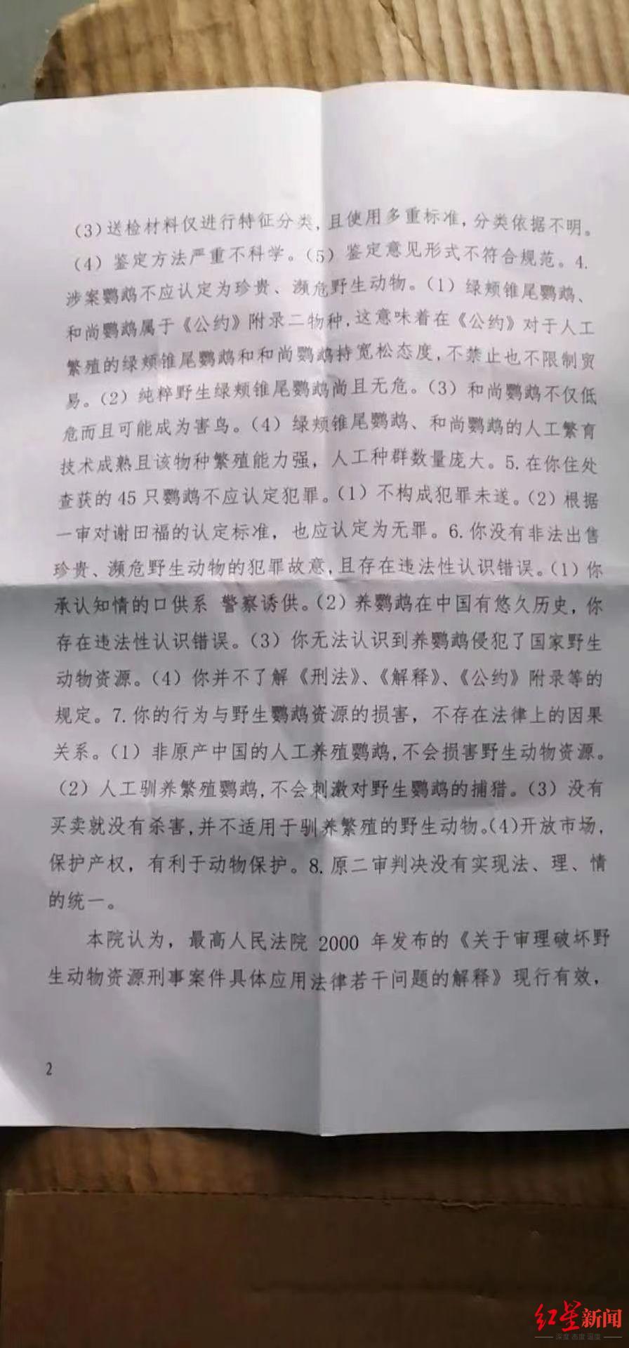 王鵬鸚鵡最新進展,王鵬鸚鵡最新進展，多方觀點分析與個人立場闡述