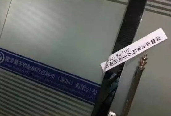 龍愛量子最新動態揭秘，與自然神秘交響的量子探索之旅