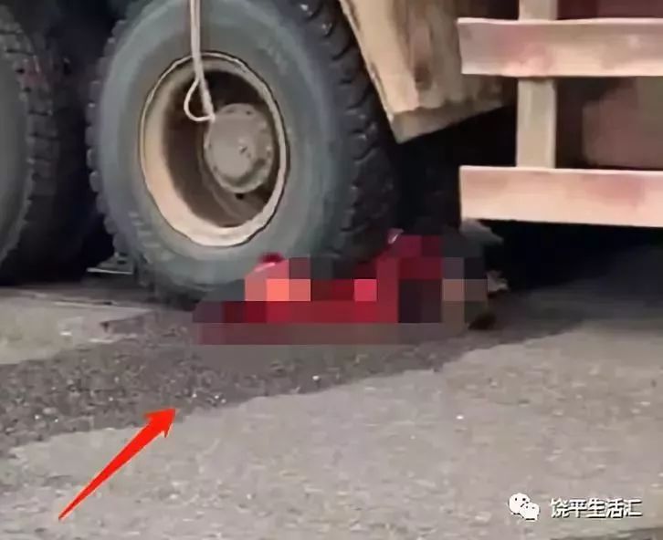 饒平車禍最新消息與一場自然美景的治愈之旅