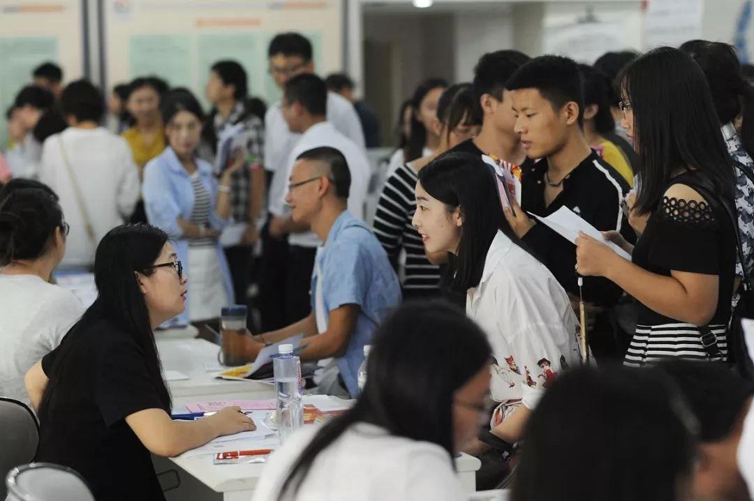義烏人才網最新招聘信息，科技驅動夢想，人才塑造未來成就之旅