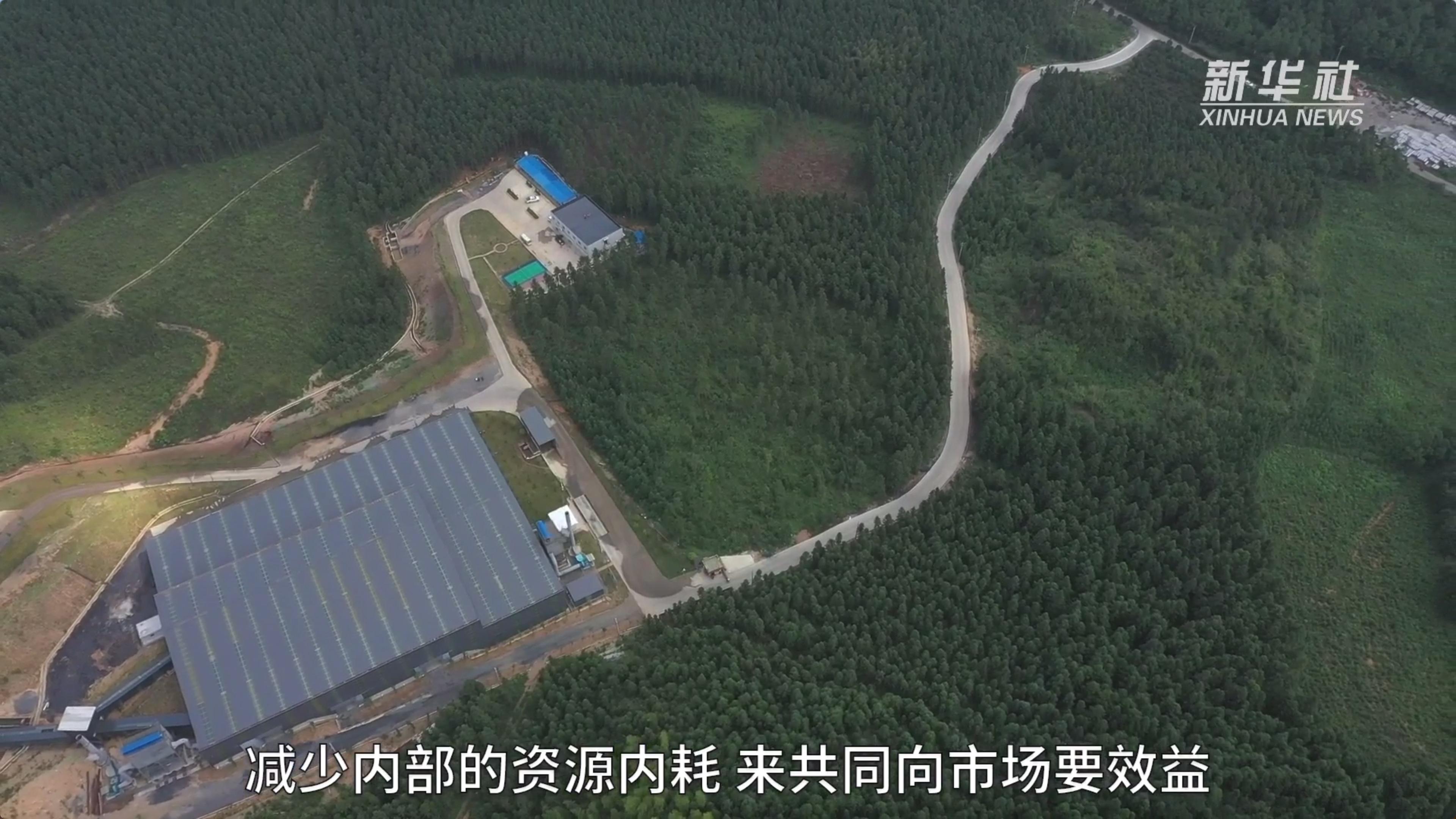 新鋼內部改革進展，鋼鐵巨擘的蛻變之路