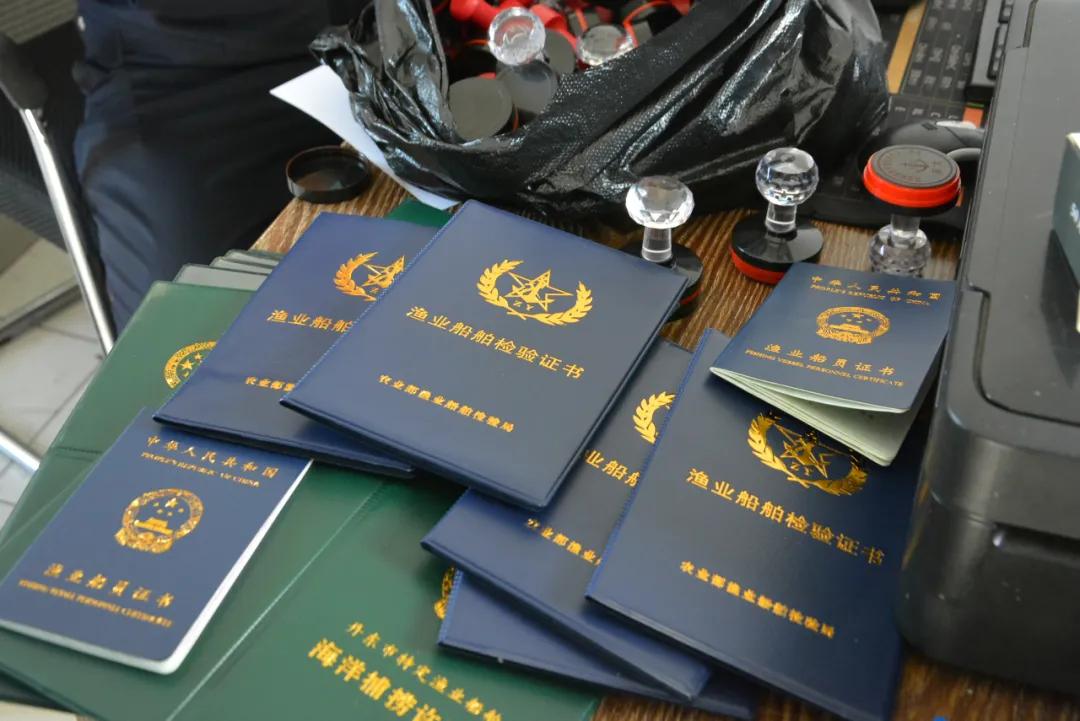 丹東手機號奇緣，友情交易與特殊陪伴的交織故事