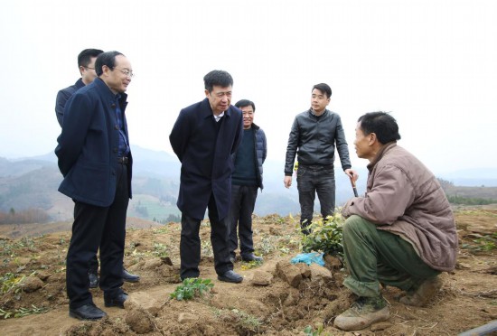 安康市委常委最新名單詳解，獲取步驟指南（含初學(xué)者與進(jìn)階用戶適用）
