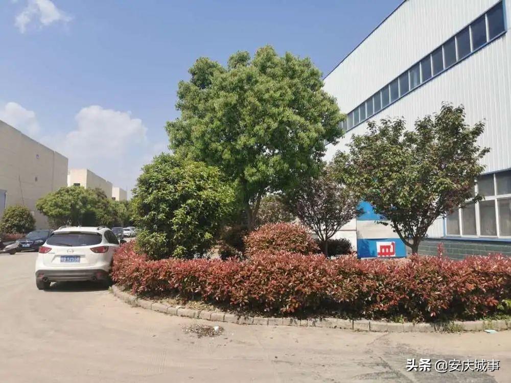 桐城雙新開發區前沿科技產品盛宴最新動態