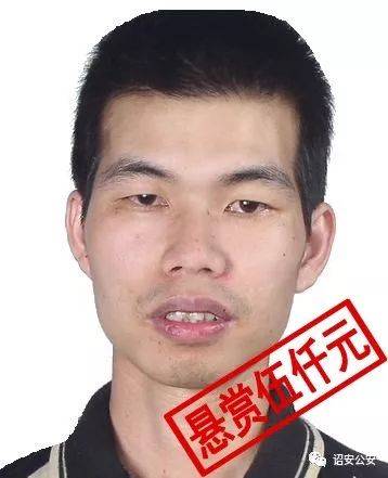 科技助力追捕行動，漳州最新通緝犯名單與智能追蹤重塑安全格局！