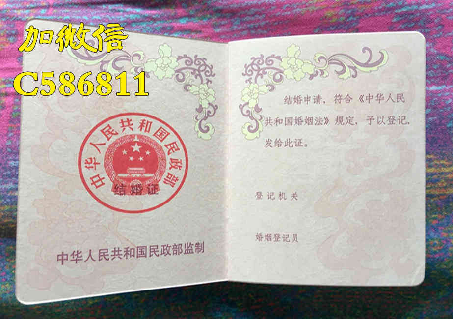 最新離婚證圖片概覽，自然美景下的旅行探索