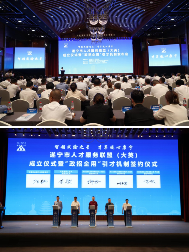 遂寧最新人才招聘信息，城市夢想與友情紐帶交織的職業機遇