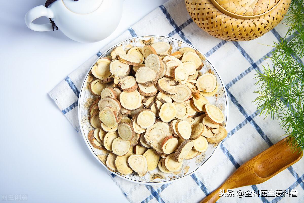 中藥大辭典最新版全面審視與深度闡述