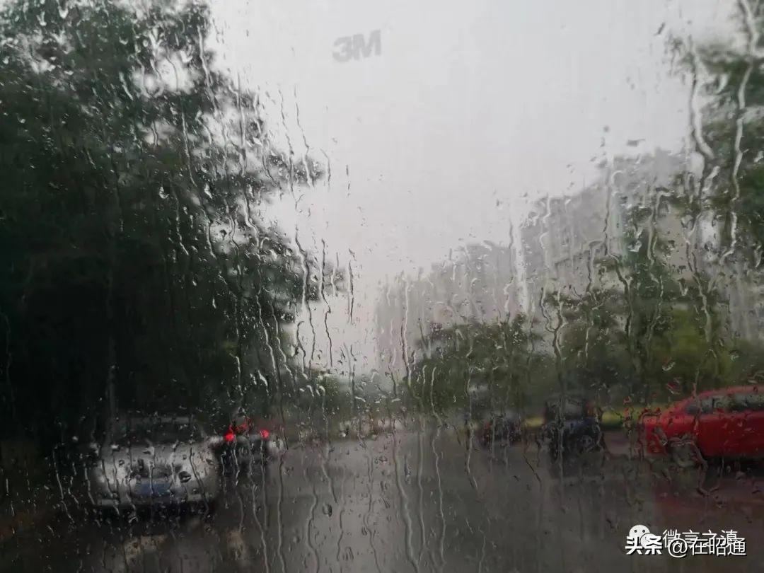 云南鎮雄車禍現場最新報道??