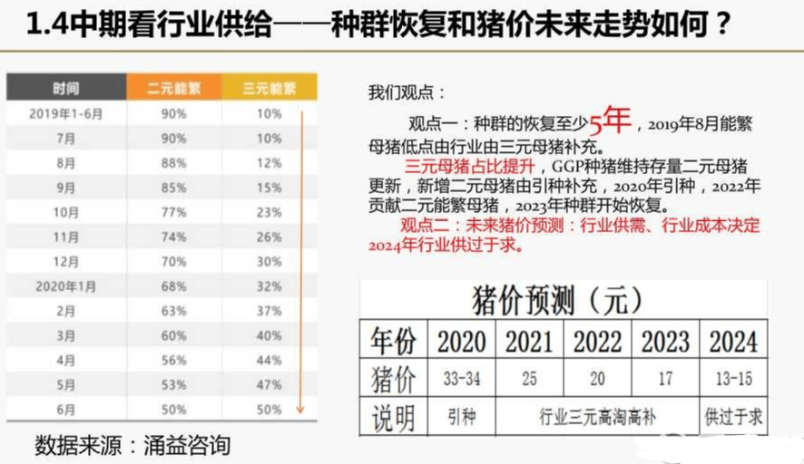 新奧2024四不像資料,高效計劃實施_PDV9.422煉肉境