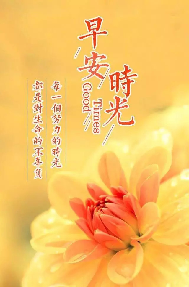 最新早安圖片大全圖片,最新早安圖片大全圖片，美好一天的起點