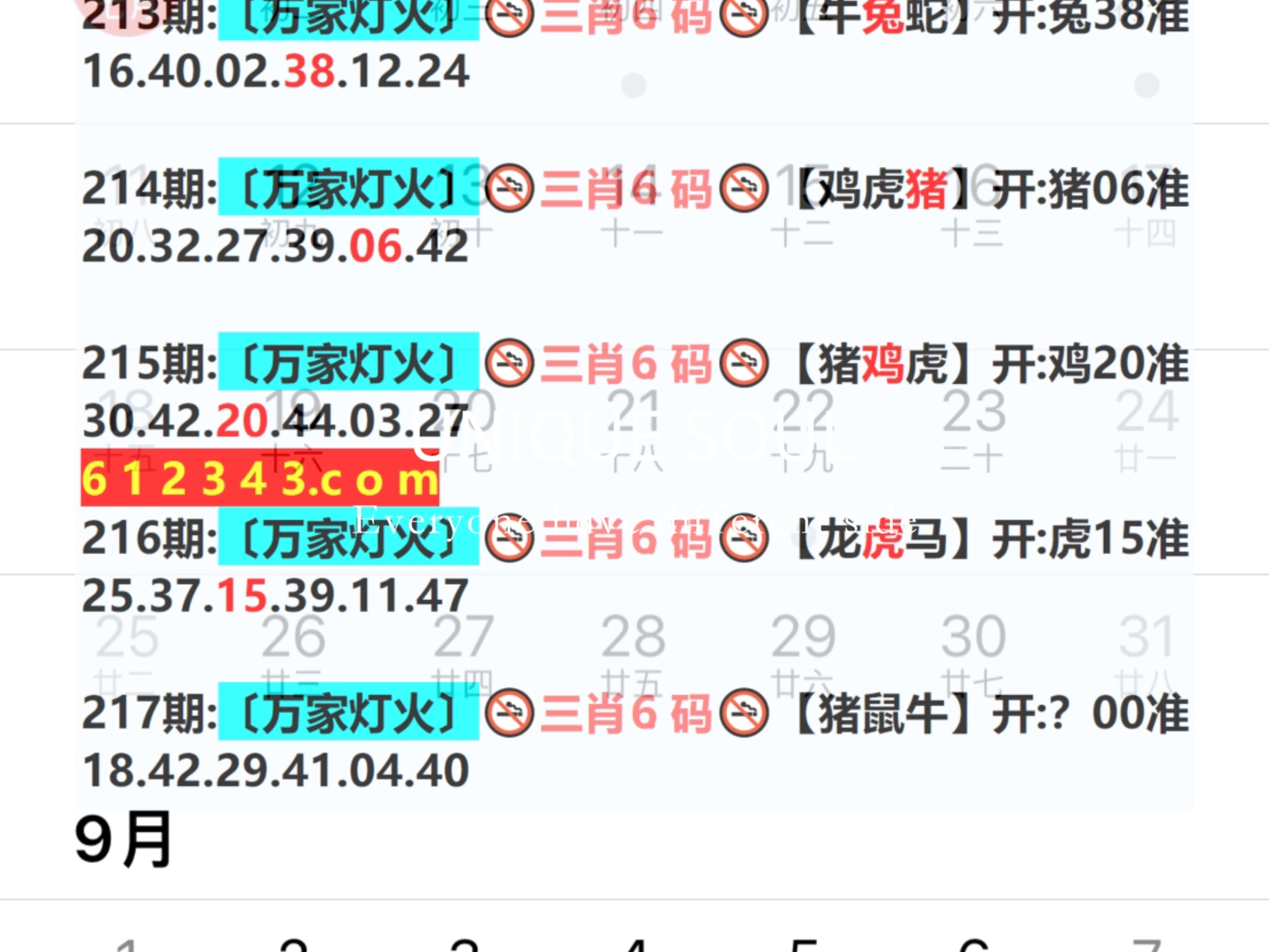新奧門開獎結果2024開獎記錄查詢表,實證分析詳細枕_KUY83.287方便版
