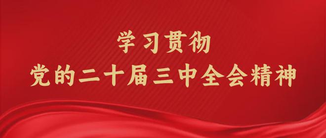 2024年資料免費大全優(yōu)勢,動態(tài)解讀分析_ZYN9.901極致版