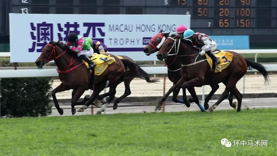 澳門馬會(huì)傳傎,動(dòng)態(tài)解讀分析_AXF9.422藝術(shù)版