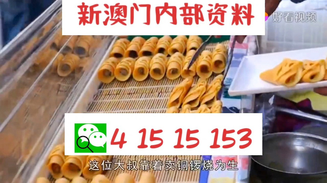 2024新澳門天天開好彩大全,快速解決方式指南_NRJ58.978緊湊版