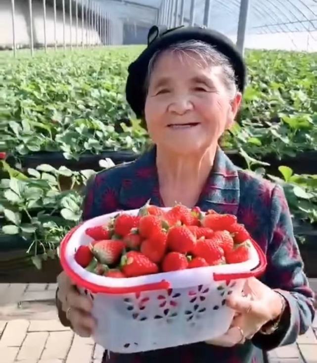 新澳資彩長(zhǎng)期免費(fèi)資料水果奶奶,仿真方案實(shí)施_VPV83.729資源版
