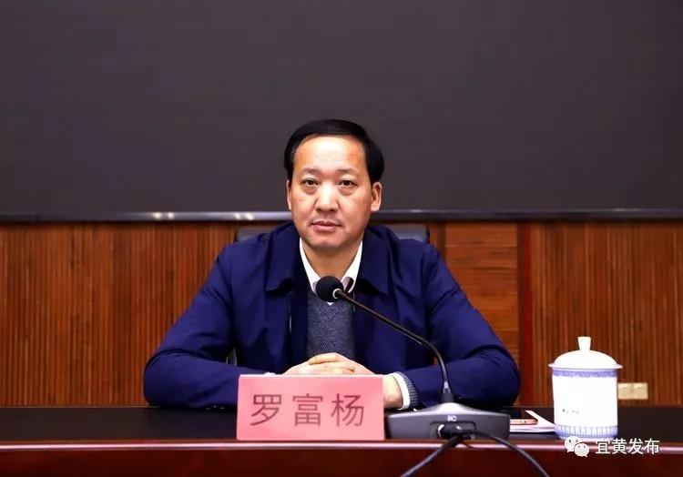 羅富楊最新科技產品介紹，領略未來科技魅力，引領新生活