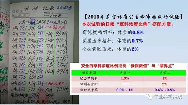 管家婆2024資料精準大全,精細化實施分析_DFO9.546潮流版