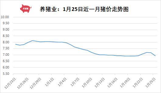 大慶生豬今日最新價格,大慶生豬今日最新價格