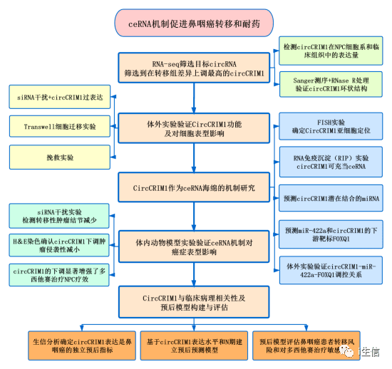 芳草地2024澳門資料,機制評估方案_VJN9.813先鋒科技