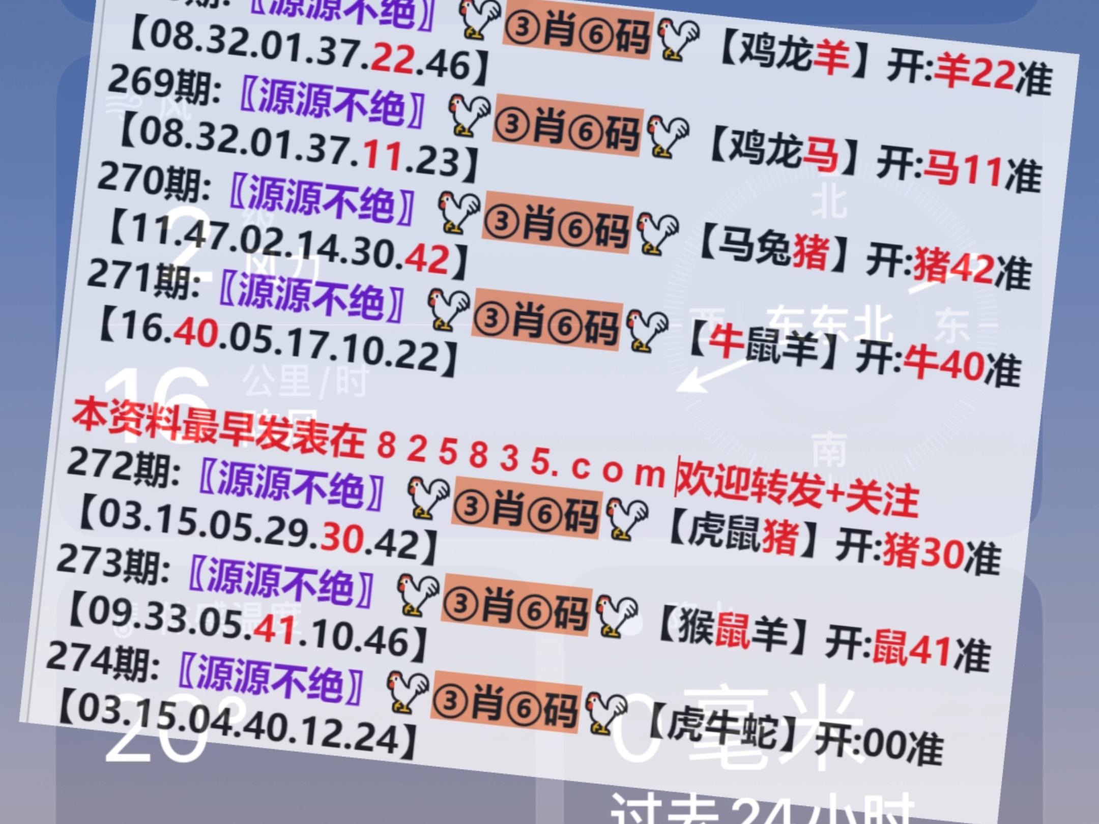 2024年新澳門王中王開獎結果,全身心數據計劃_EPU58.681潮流版