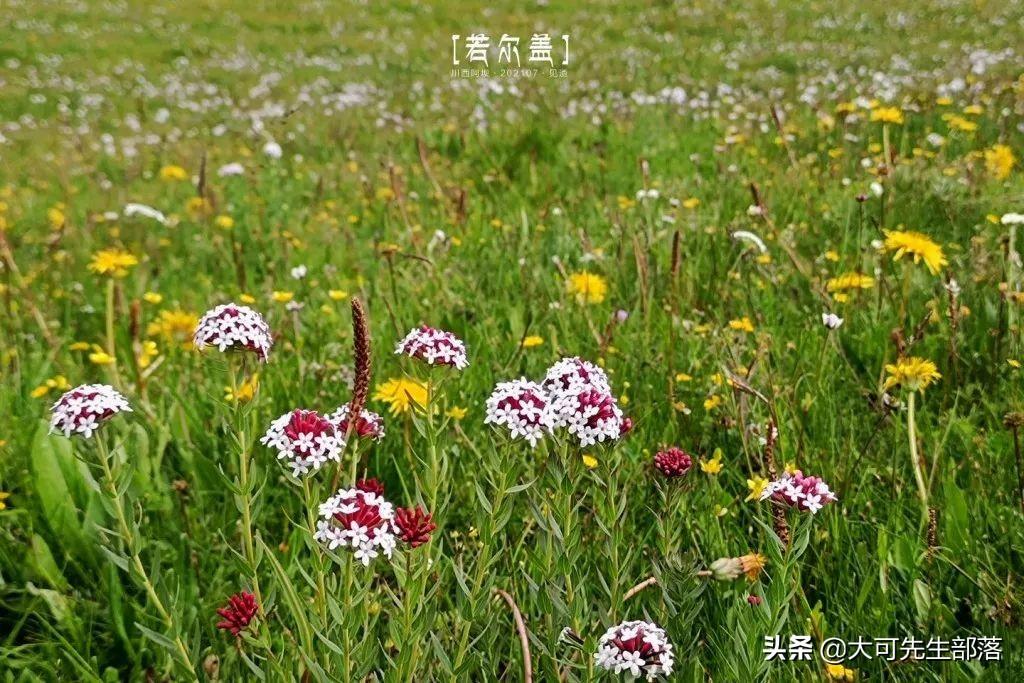 時空之旅新篇章探索，穿越之先生的最新章節
