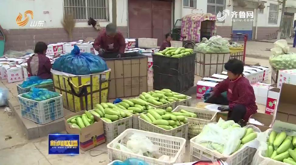聊城長豆角價格最新行情,聊城長豆角價格最新行情