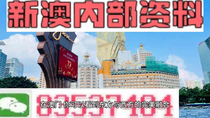 2024新澳六叔最精準資料,高速應對邏輯_世界版50.979