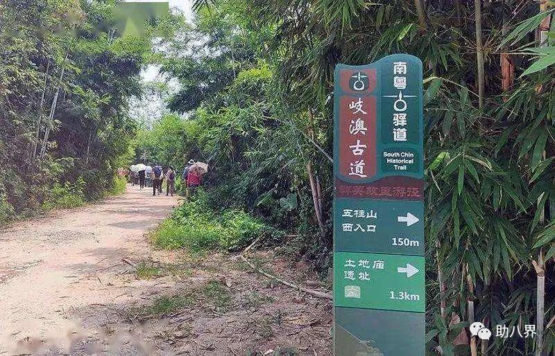 今晚上澳門開什么,精準(zhǔn)分析實踐_收藏版81.174