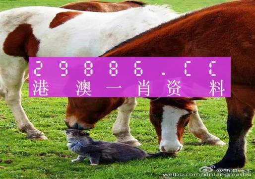 奧門一肖一碼一中一,動態解讀分析_娛樂版90.236