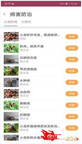 惠澤天下資料大全免費手機版,深入研究執行計劃_隨身版81.464