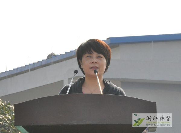 林云舉廳長最新動態，日常趣事與情感紐帶揭秘