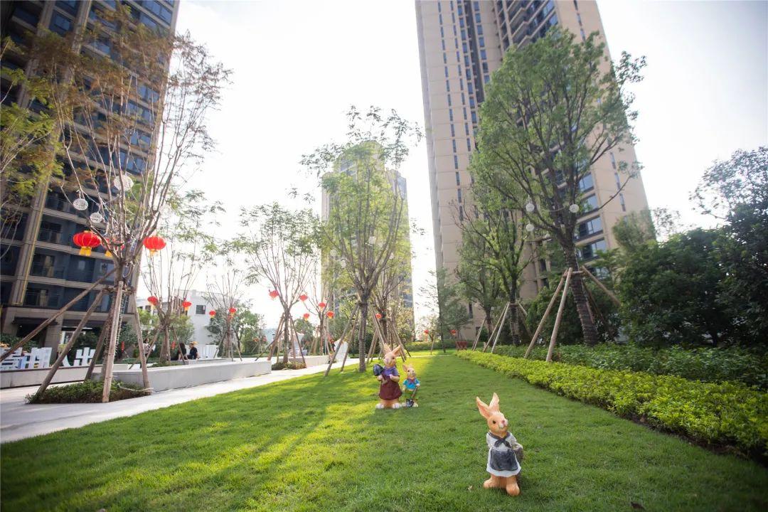 深茂鐵路最新進(jìn)展，中山段的飛馳之旅與城市的自信蛻變