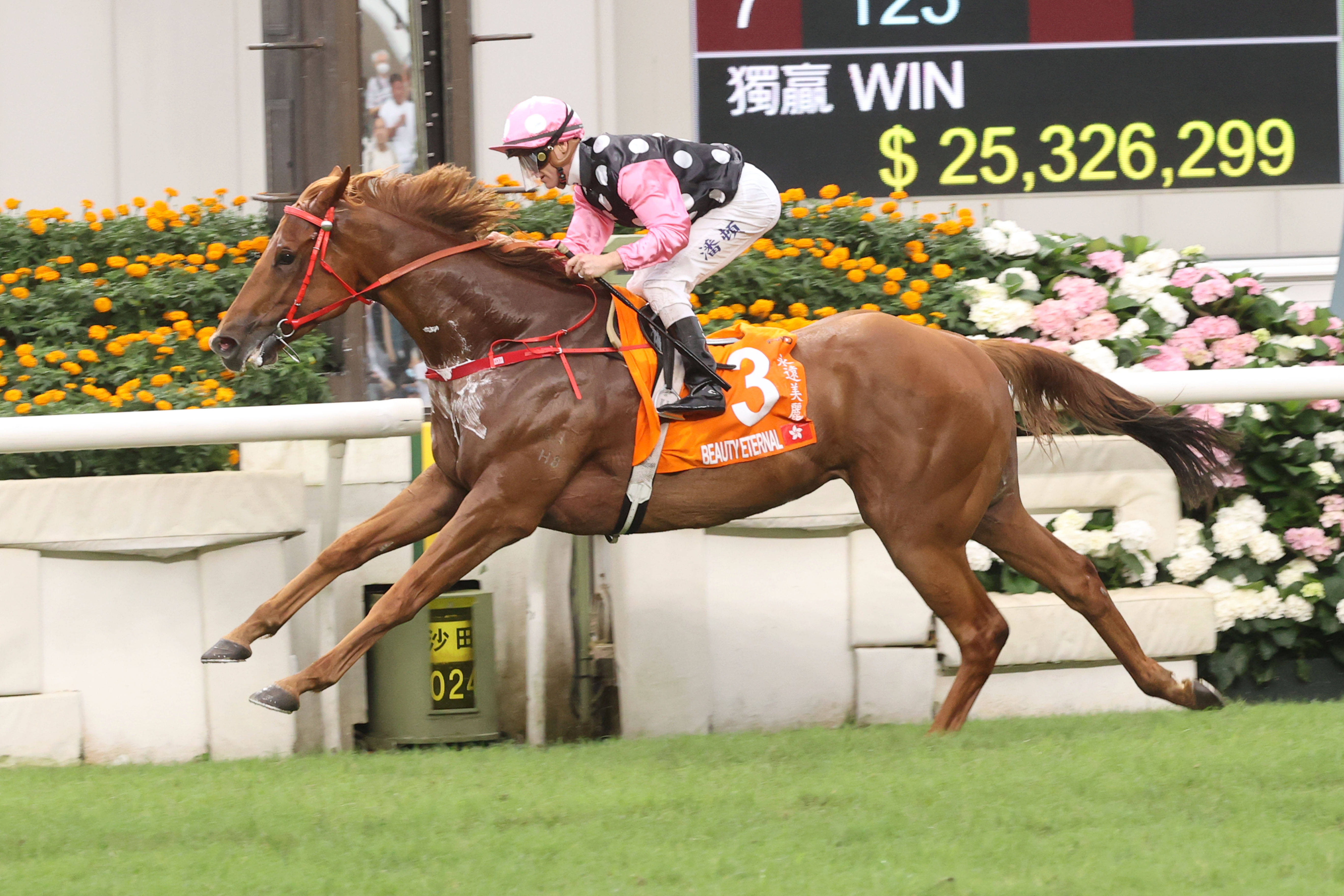 2024香港賽馬全年免費資料,專家解析意見_先鋒實踐版33.848