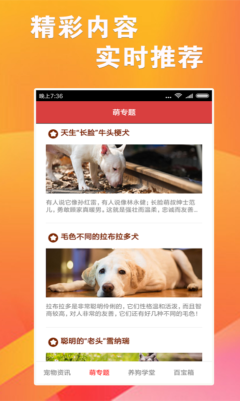 7777788888跑狗論壇版,實用性解讀策略_裝飾版75.693