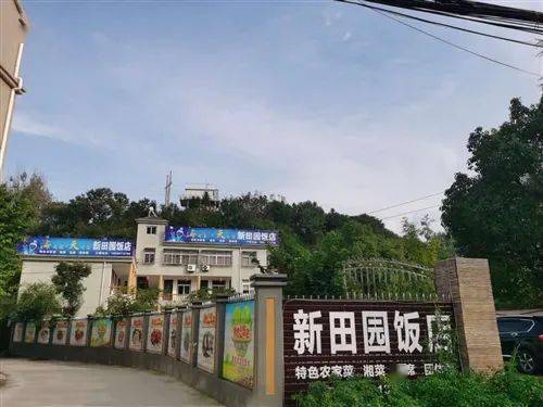 新縣房租出租最新動態，市場現狀分析與個人觀點解讀