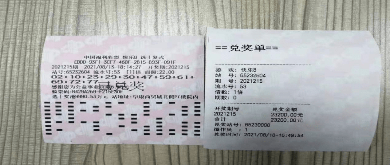 新澳門天天開好彩大全開獎記錄,專業調查具體解析_傳承版65.124