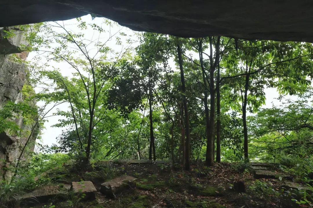 幕阜山開發最新動態，最新消息揭秘????