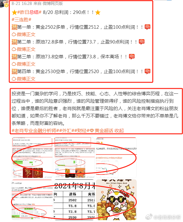 澳門管家婆100%精準,穩固執行戰略分析_游戲版67.584