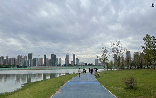 方島濕地公園最新消息,方島濕地公園最新消息，游玩與體驗指南