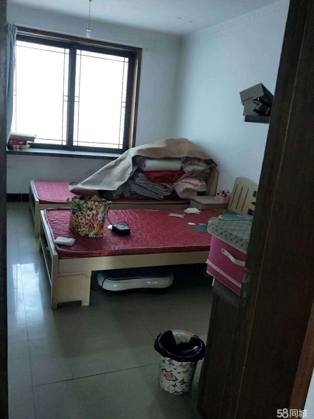 沈丘租房網最新動態，變化中的學習之旅，成就感的源泉