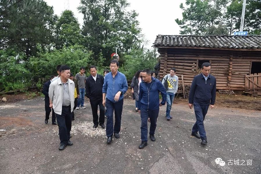紅河州王建新最新動態(tài)，歡樂日常揭秘