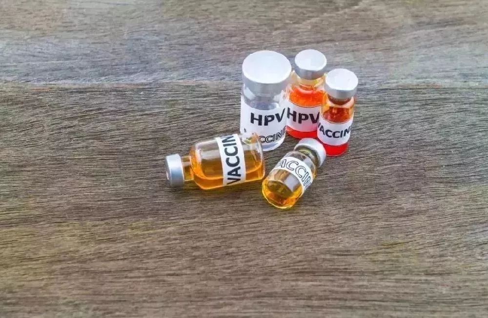 澳特爾復合肥最新價格及市場走勢與購買指南