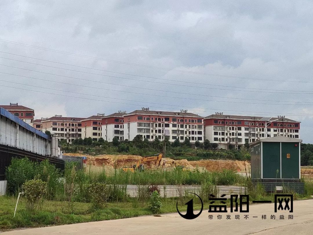 益陽市一園兩中心最新動態，綠色引擎推動城市發展