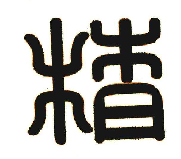一路學習，精字最新觀看與自信成就感的奇妙旅程
