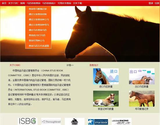 巷弄中的秘密馬術(shù)風(fēng)情小店，最新馬會信息一覽